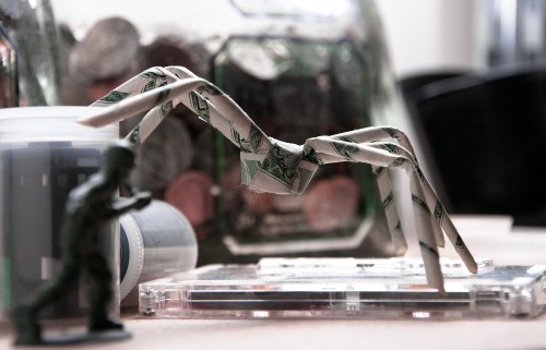 mahoney_20110116_7161 spider attack