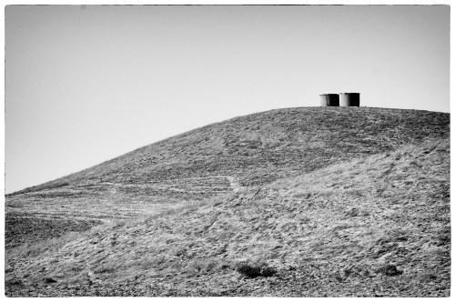 mahoney_20110916_5284