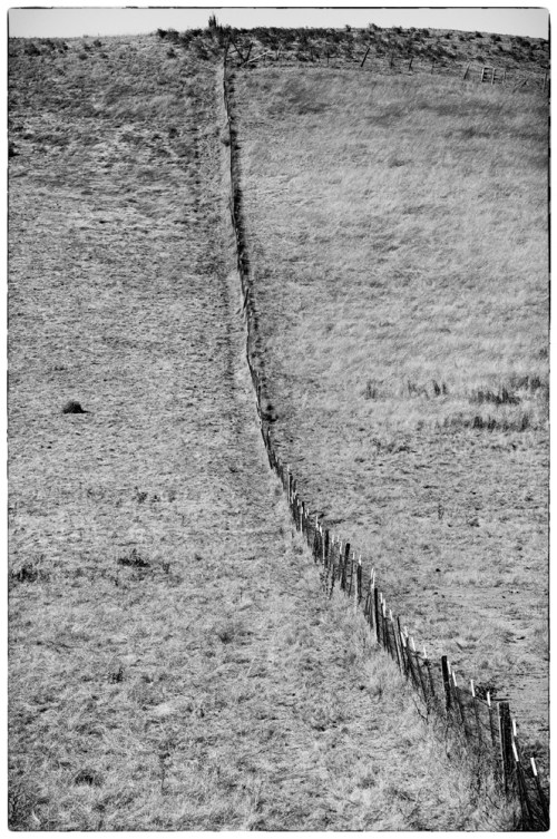 mahoney_20110916_5287