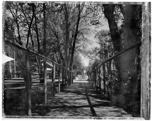 mahoney_20120507_51006