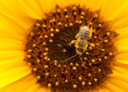 mahoney_20120807_58317