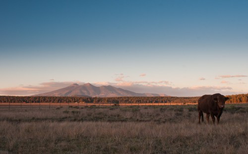 mahoney_20131015_8658